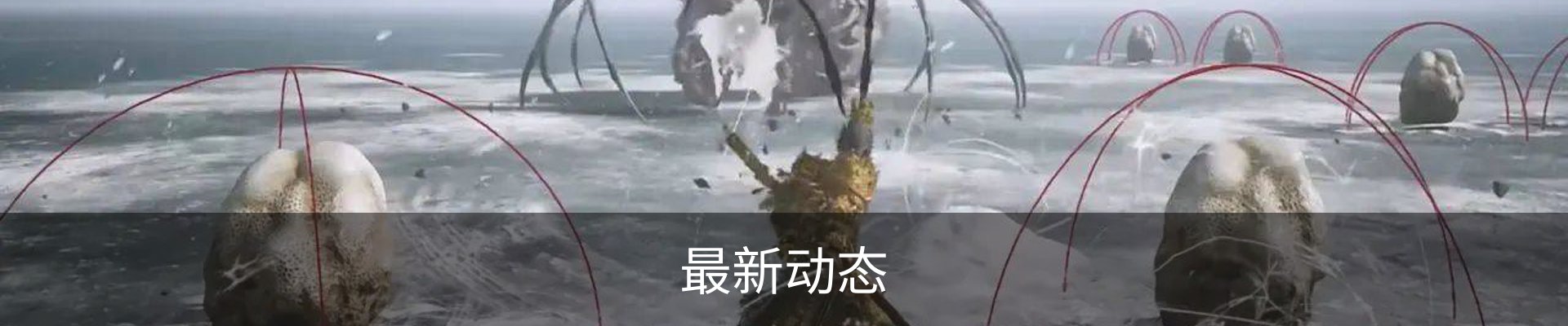 最新动态